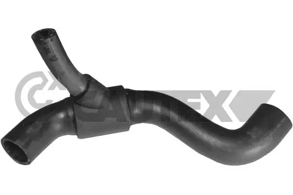486247 Cautex