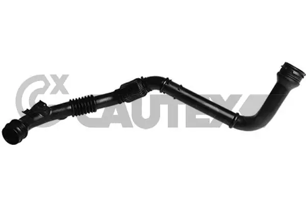 753077 Cautex