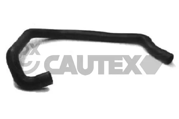 036198 Cautex