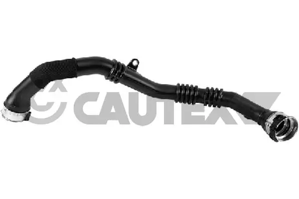 769927 Cautex