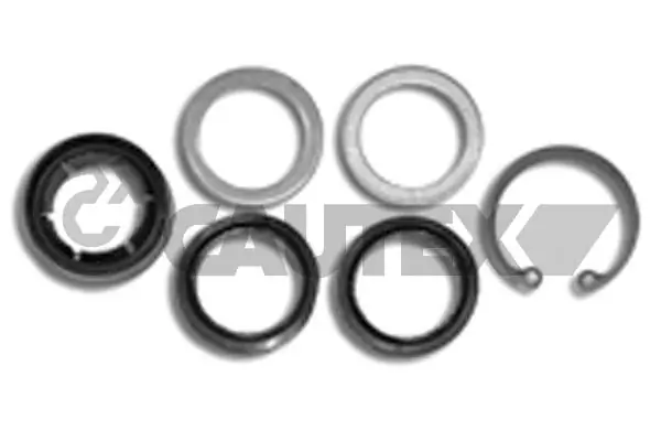 021050 Cautex