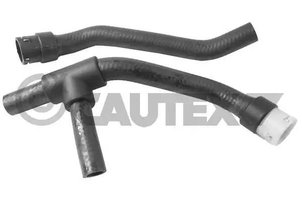 486692 Cautex