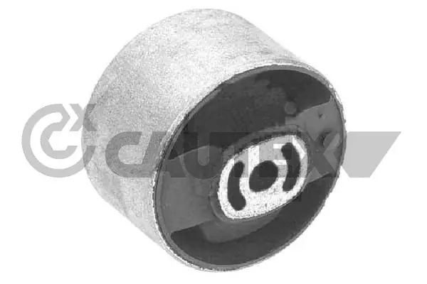 030893 Cautex