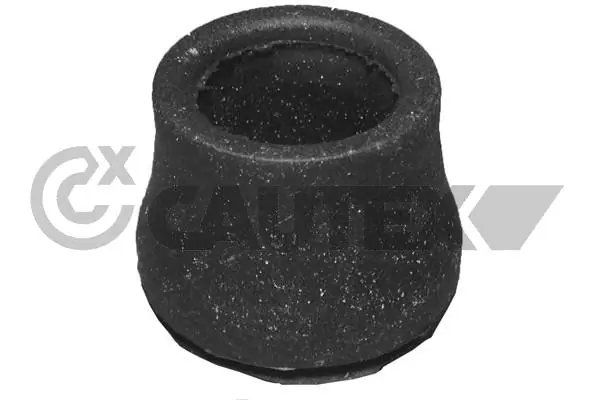 010137 Cautex
