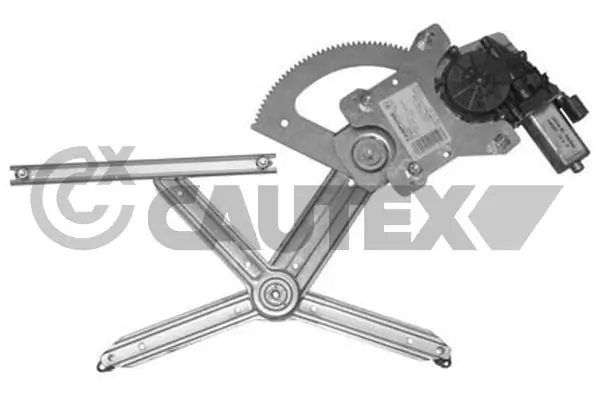 217313 Cautex