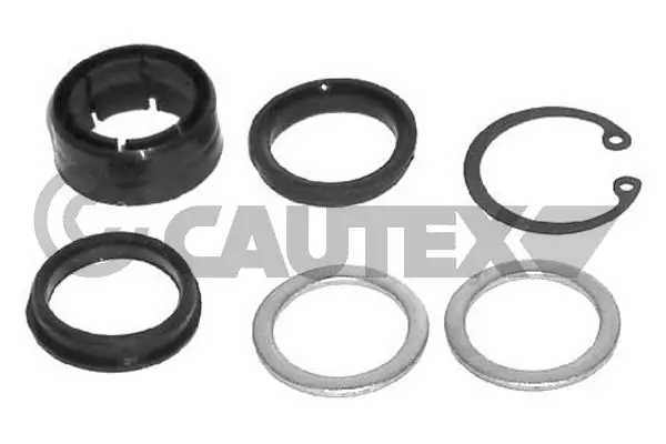 030273 Cautex