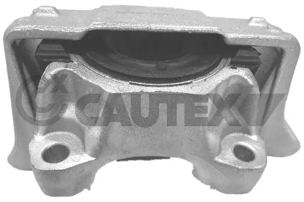 081264 Cautex