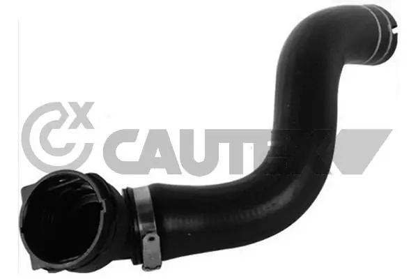 753287 Cautex
