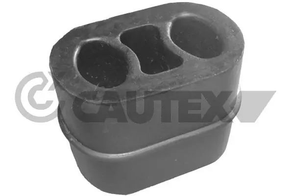 480010 Cautex