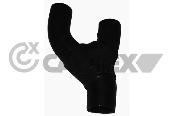 752930 Cautex