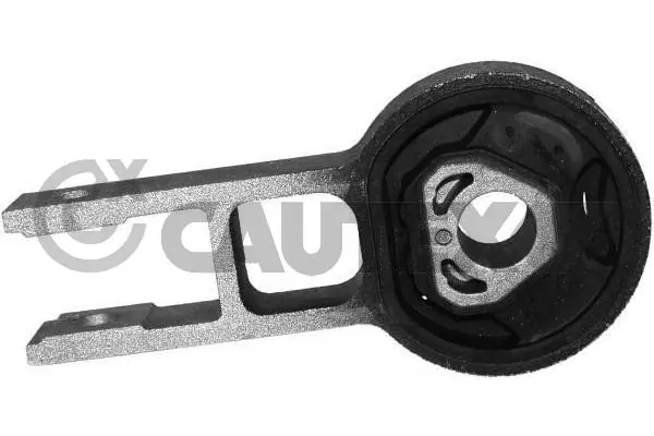 011263 Cautex