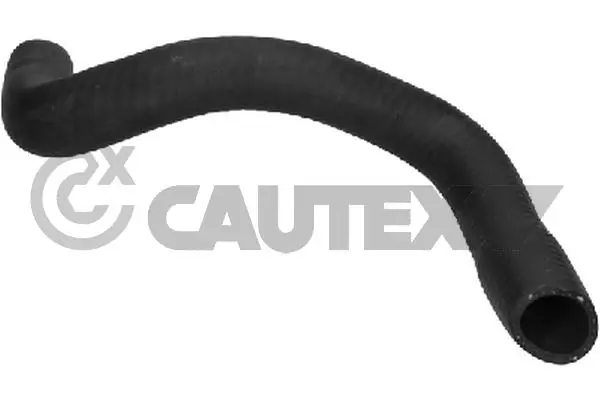 461101 Cautex