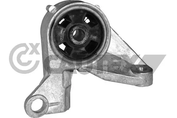 020366 Cautex