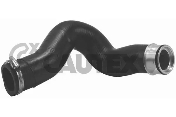 466843 Cautex