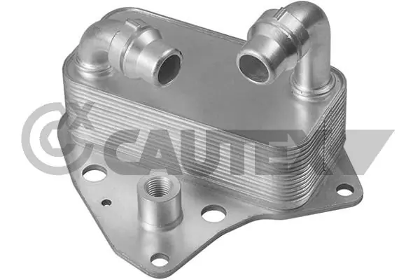 751814 Cautex