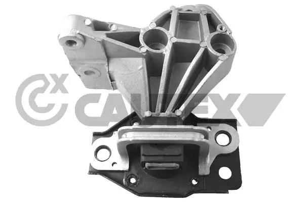 756190 Cautex