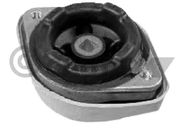 461146 Cautex
