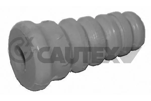 081243 Cautex