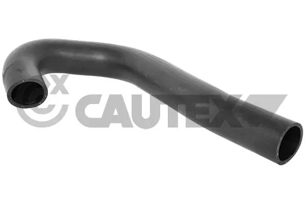 754536 Cautex