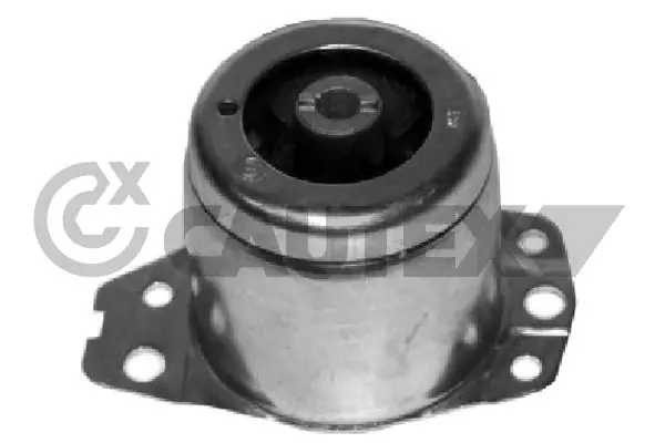 011186 Cautex