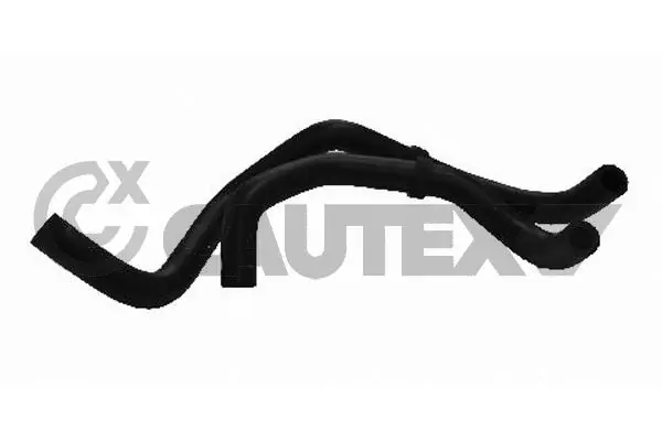 466111 Cautex