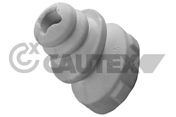 462447 Cautex