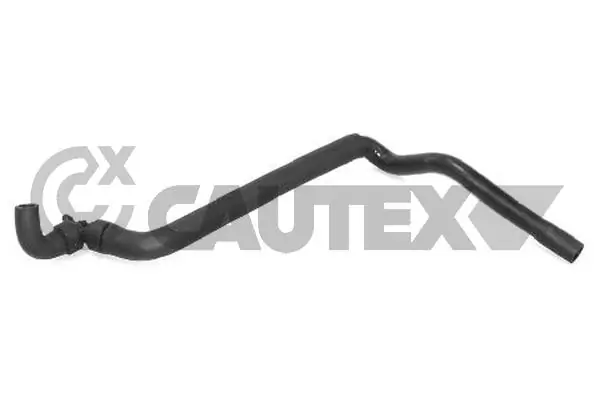 031166 Cautex
