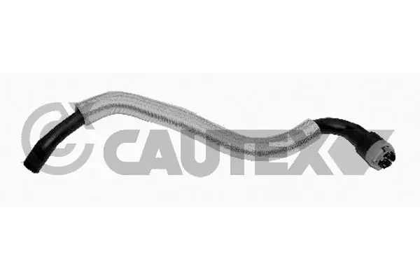 752736 Cautex