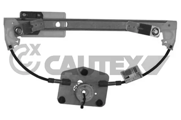467275 Cautex