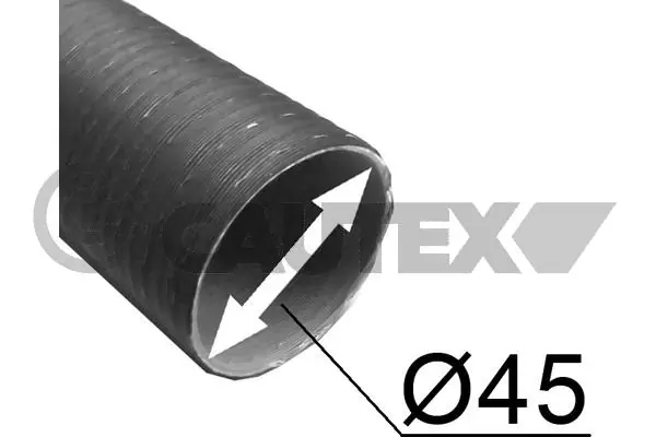 900338 Cautex