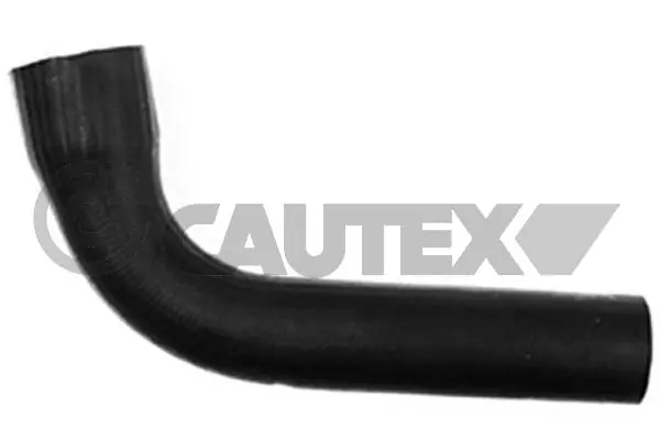 753079 Cautex