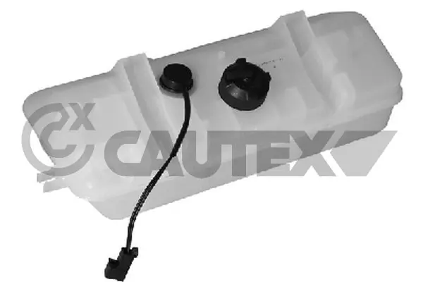 954234 Cautex