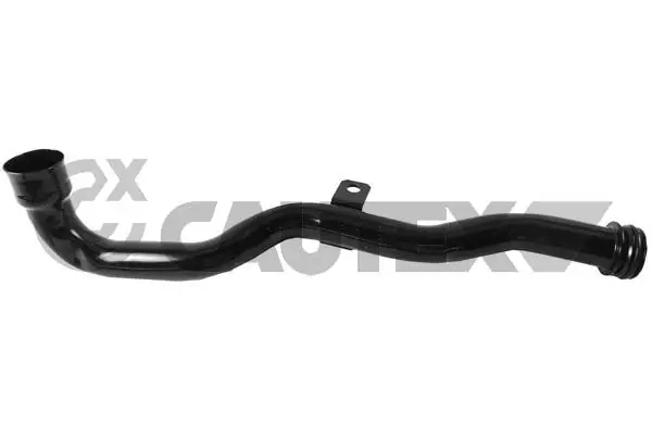 955501 Cautex