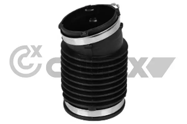 753066 Cautex