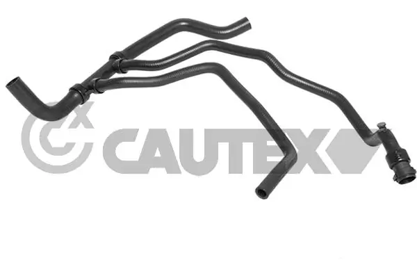 481212 Cautex