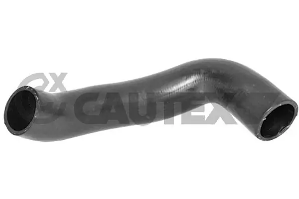 754438 Cautex