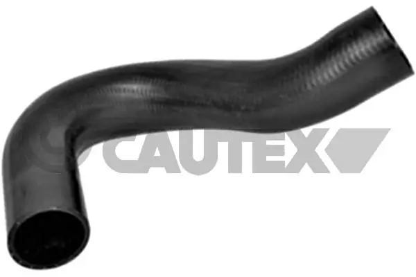 036785 Cautex