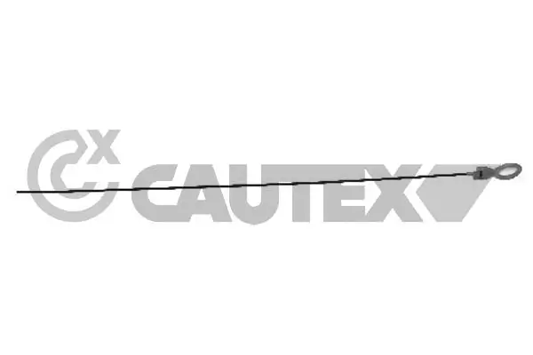 461388 Cautex