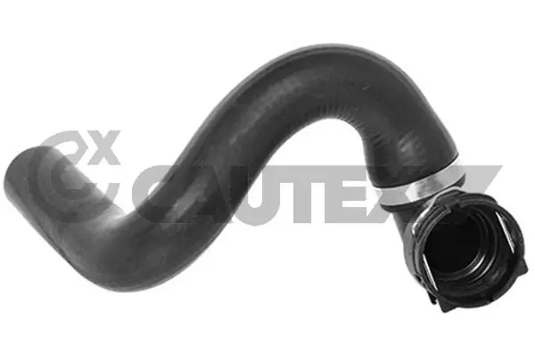 753303 Cautex