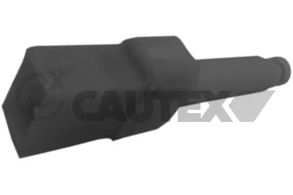 461113 Cautex