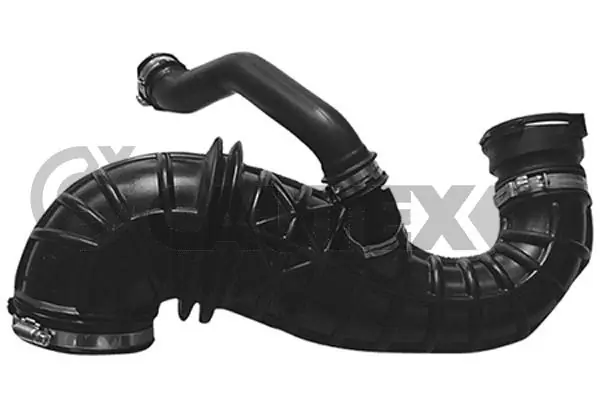 086746 Cautex