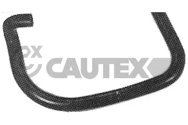 036211 Cautex