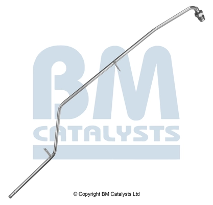 PP11009A BM Catalysts