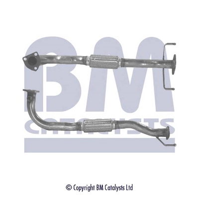 BM70006 BM Catalysts