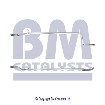 BM50249 BM Catalysts