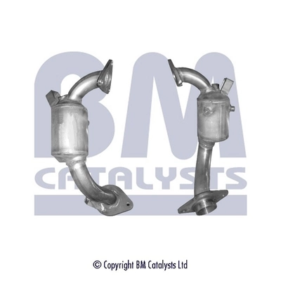 BM80384H BM Catalysts