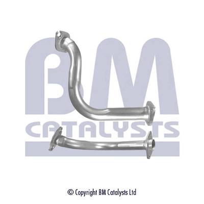 BM50252 BM Catalysts