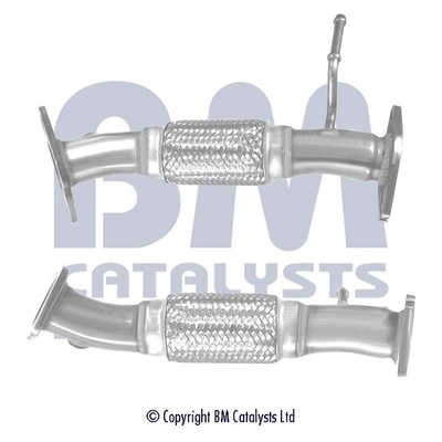 BM50479 BM Catalysts