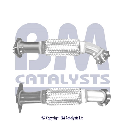 BM50569 BM Catalysts