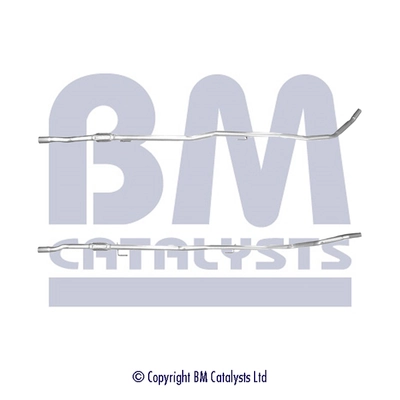 BM50322 BM Catalysts